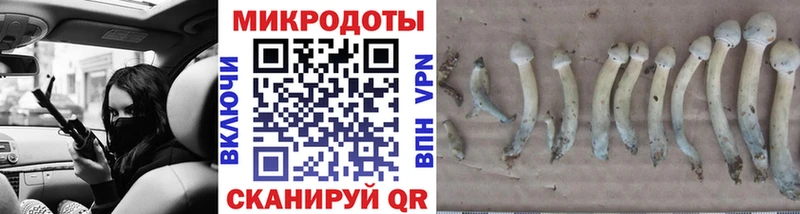 закладки  Белая Калитва  Псилоцибиновые грибы ЛСД 